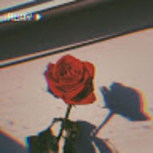 Meet your Posher, Nusaiba